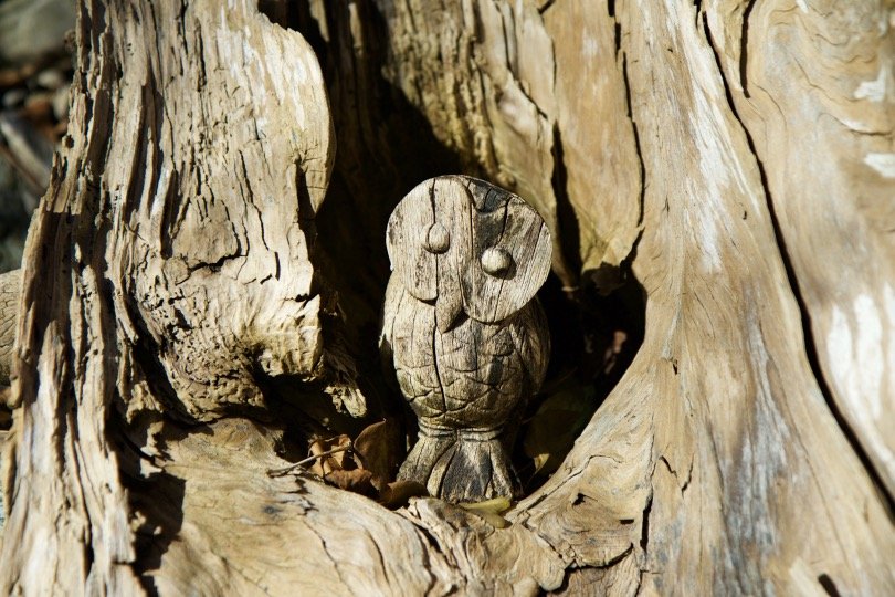 Wooden owl in the tree